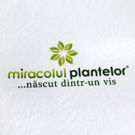 Miracolul plantelor - identitate vizuala